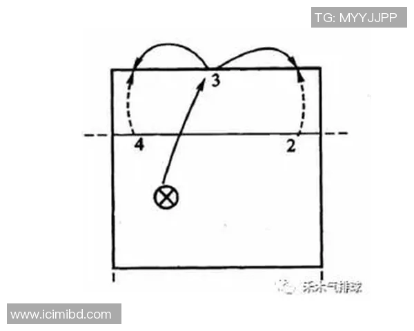 排球战术全解析从零基础到高手的全面指南与实战技巧分享
